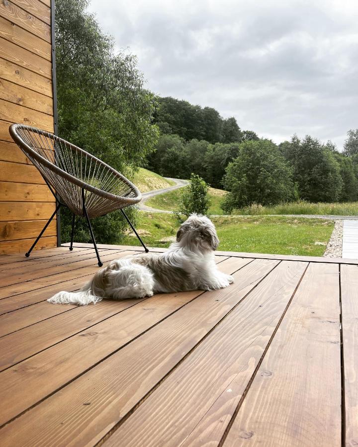 Mini Valley House 1 Sita Buzăului Exteriér fotografie